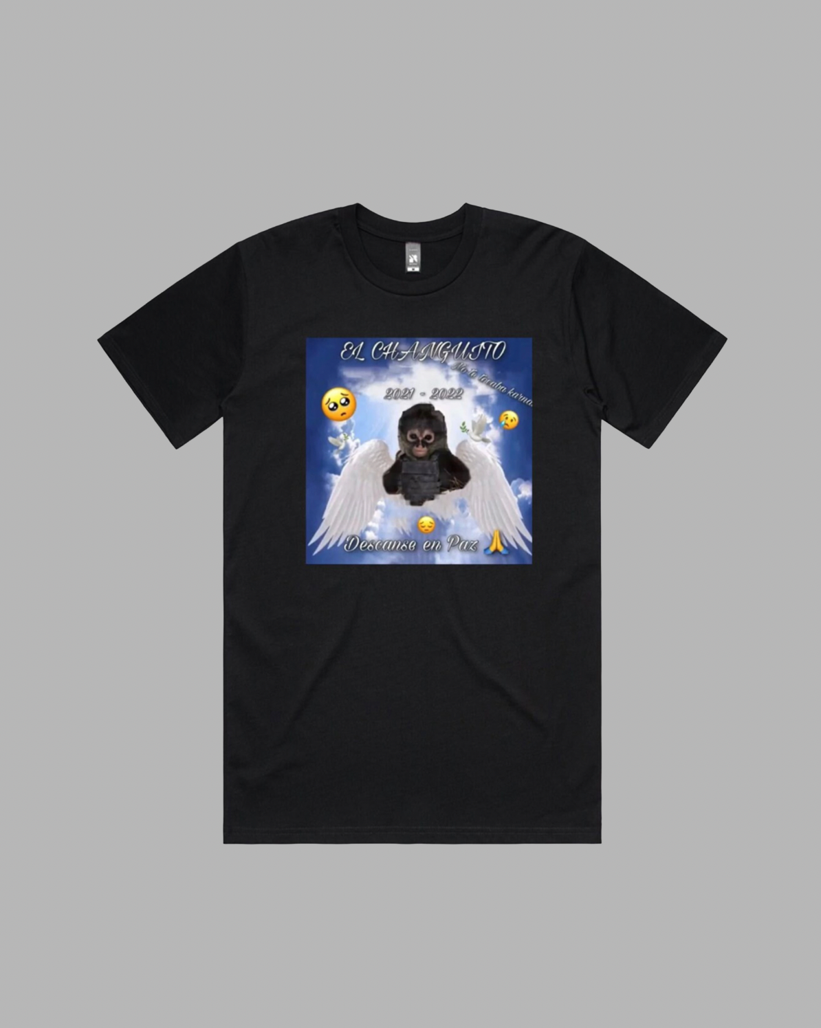 Changuito RIP premium relaxed tee in black and white