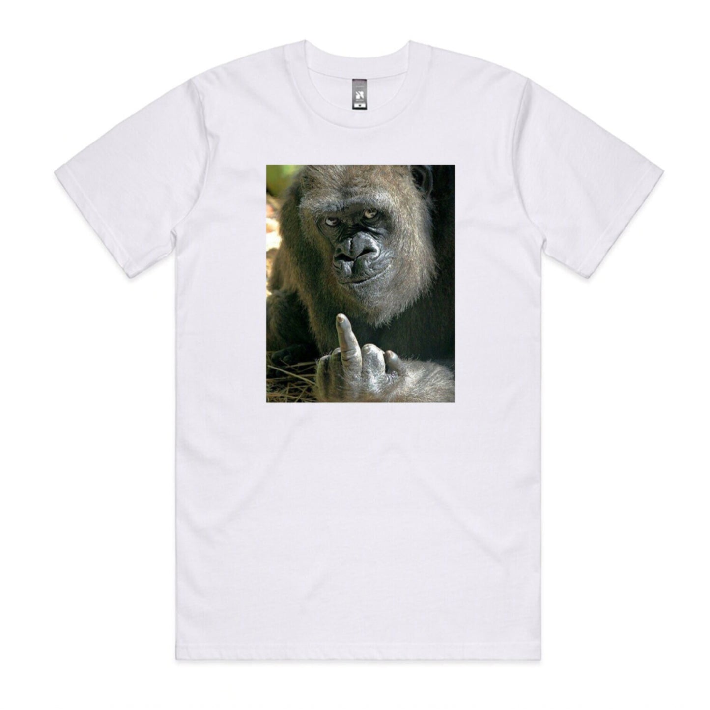 Gorilla