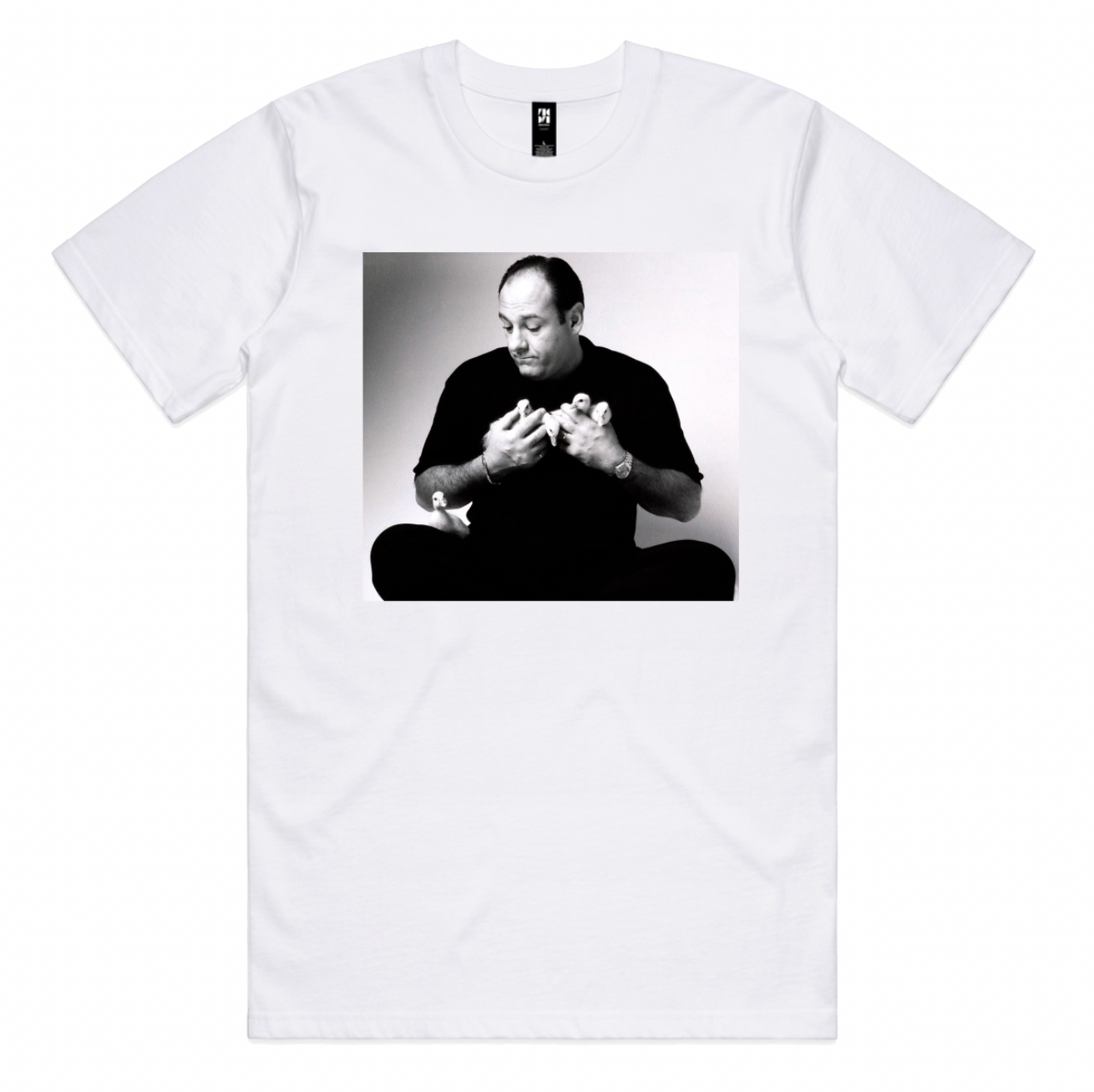 James Gandolfini