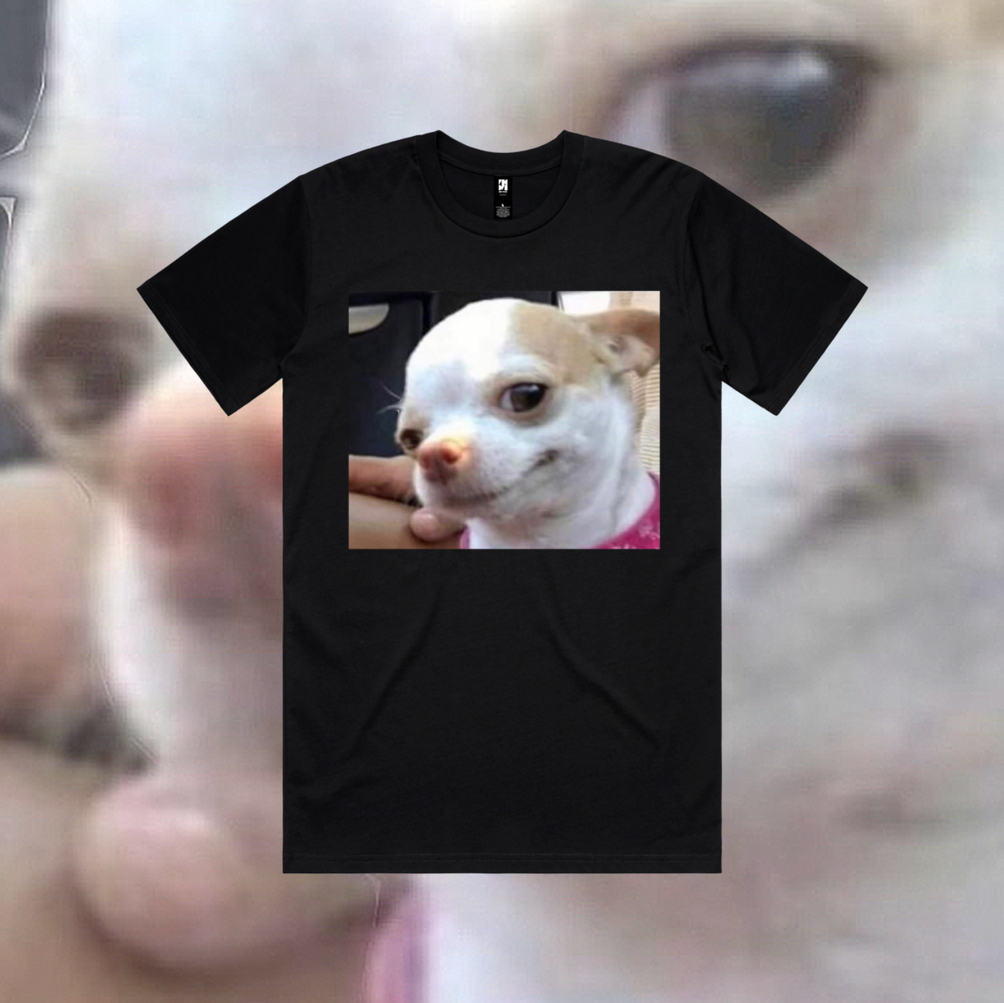 Smiling Chihuahua