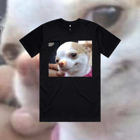 Smiling Chihuahua