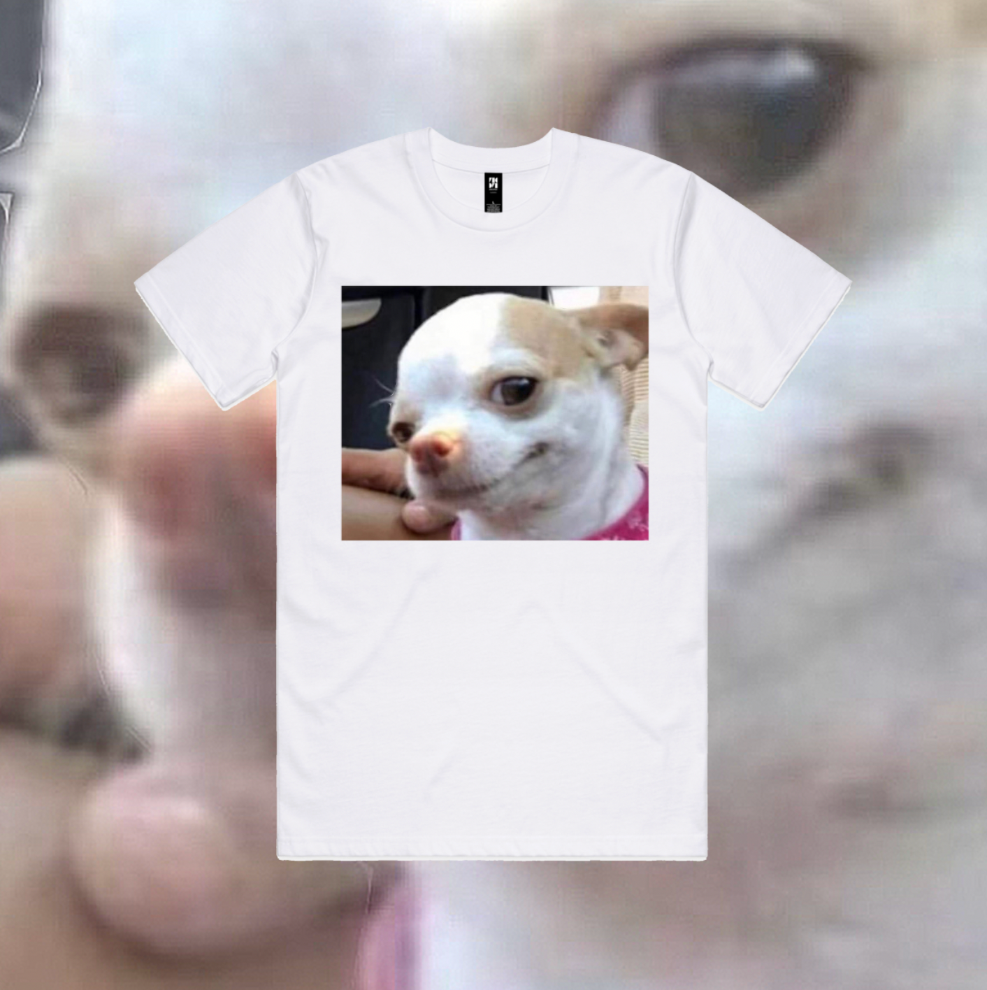 Smiling Chihuahua