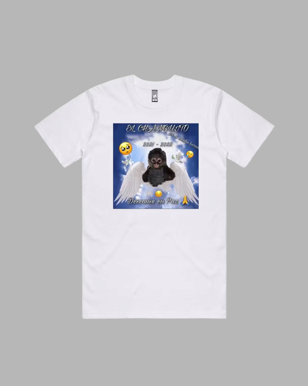 Changuito RIP premium relaxed tee in black and white